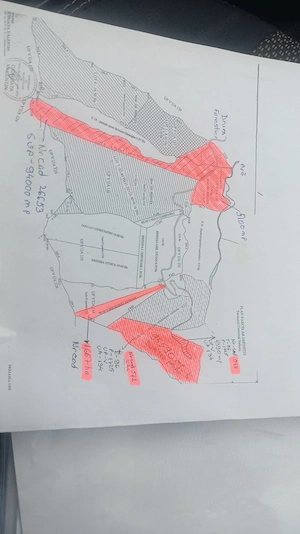 Vând 25 ha pădure de fag - Zona Cătiașu