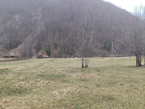 Vând teren Remeți 