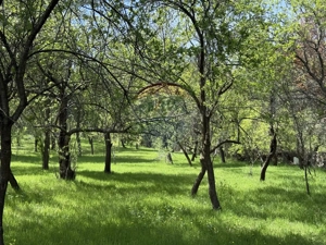 Casă  de vânzare în zona Câmpulung înconjurată de natura - imagine 2