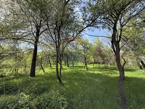 Casă  de vânzare în zona Câmpulung înconjurată de natura - imagine 14