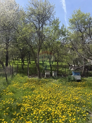 Casă  de vânzare în zona Câmpulung înconjurată de natura - imagine 16