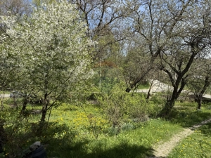 Casă  de vânzare în zona Câmpulung înconjurată de natura - imagine 18