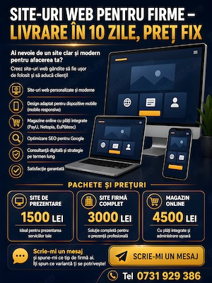 Site-uri web pentru firme mici   livrare în 10 zile, preț fix