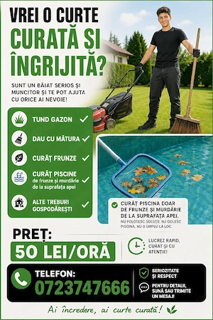    Băiat serios ofer servicii de curățenie în curți!   