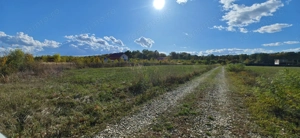 Refugiu la marginea padurii — 2822 mp de liniste in Cocani. - imagine 10