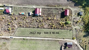 Refugiu la marginea padurii — 2822 mp de liniste in Cocani. - imagine 2