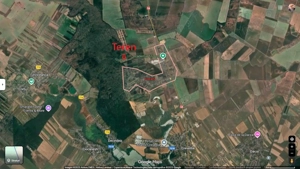Refugiu la marginea padurii — 2822 mp de liniste in Cocani. - imagine 7