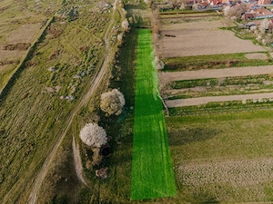 Teren cu vedere panoramica in Cartisoara - imagine 4