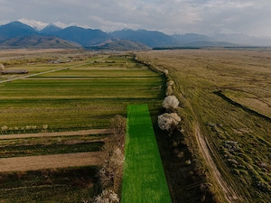 Teren cu vedere panoramica in Cartisoara - imagine 2