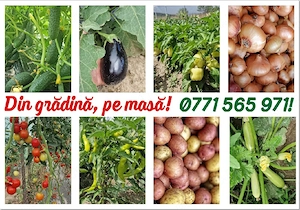 Legume de sezon BIO