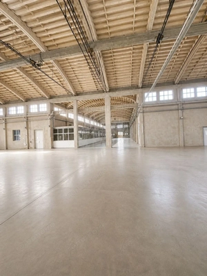 HALA  PRODUCTIE 3500MP//ZONA BEREASCA - imagine 8