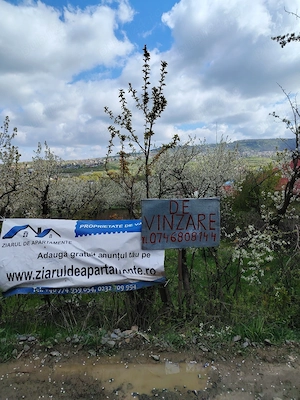 vind teren intravilan în com Bârnova jud Iași bun pentru construcție, cu utilități 1150 mp Tel 07468 - imagine 3