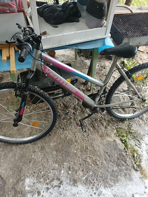 biciclete 