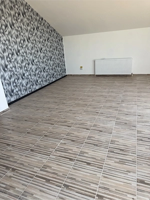 proprietar inchiriez spatiu  comercial sanandrei - imagine 10
