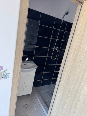 proprietar inchiriez spatiu  comercial sanandrei - imagine 8