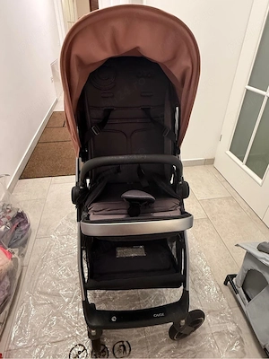 Carut Cavoe Oasis 2.0