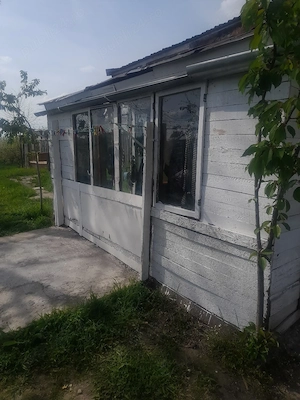 Casa de vanzare jud Bihor - imagine 4