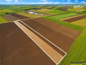 FILM! In areal linistit, acces facil, 4.200 mp  teren extravilan, Covasna - imagine 2