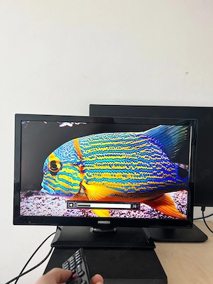 Televizor Full HD 22 inch Horizon