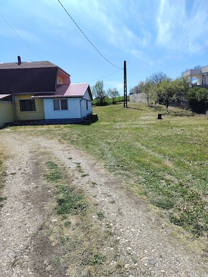 Teren intravilan 6000 mp cu casa  - imagine 3