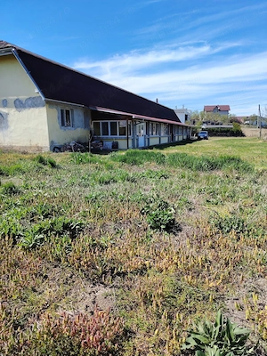 Teren intravilan 6000 mp cu casa  - imagine 4