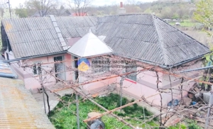 CASĂ cu teren 1419 mp BUHUȘI, judetul BACĂU - imagine 10