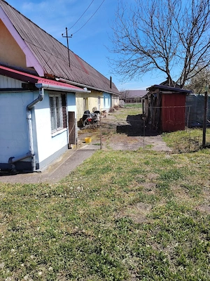 Teren intravilan 6000 mp cu casa  - imagine 5