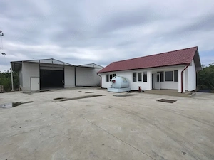 Moară cereale 50 t zi + afacere funcțională | teren + hale | Bihor