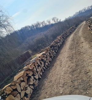 lemne de foc 