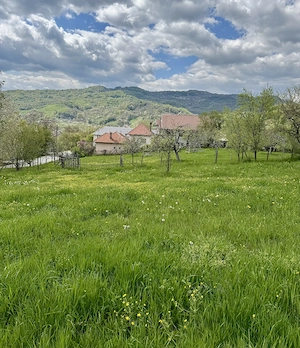 Oportunitate ! Teren Intravilan 3.000 mp DN 72 A, Târgoviște-Câmpulung - imagine 3