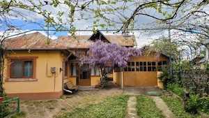 Casă de vânzare în Ghirdoveni. - imagine 9