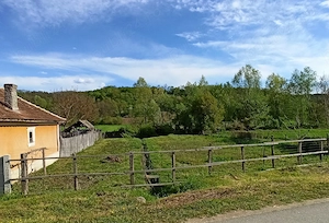 Casă bătrânească la țară+anexă+teren 2500 mp intravilan   asfalt + utilități la poartă - imagine 3