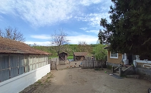 Casă bătrânească la țară+anexă+teren 2500 mp intravilan   asfalt + utilități la poartă - imagine 5