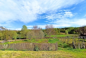 Casă bătrânească la țară+anexă+teren 2500 mp intravilan   asfalt + utilități la poartă - imagine 7