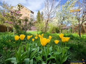 Casa pe strada Lazar Mihaly, Sfantu Gheorghe, cu 645 mp teren - imagine 13