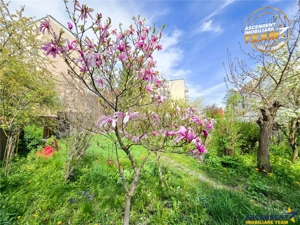 Casa pe strada Lazar Mihaly, Sfantu Gheorghe, cu 645 mp teren - imagine 11