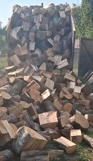 Vând lemne de foc de esență tare Fag!