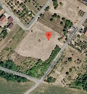 Teren cu pomi fructiferi , vie si loc de casa - imagine 3