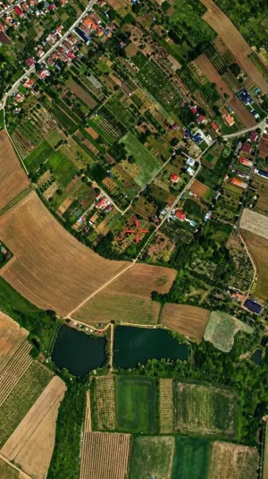 Teren cu pomi fructiferi , vie si loc de casa - imagine 4