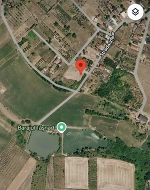 Teren cu pomi fructiferi , vie si loc de casa - imagine 2