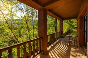 Proprietate notabila, ocazie personalizare, in transcendentalul Bran, Brasov - imagine 13