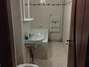 garsoniera baba novac-metrou 5 minute dristor - imagine 6