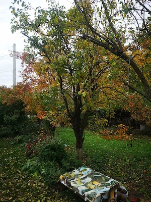 Casa de vanzare Puchenii Mari