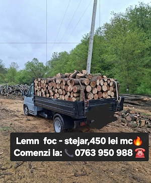 Lemn foc stejar