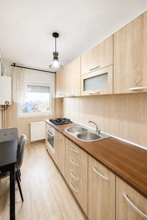 Apartament cu doua camere Vasile Aaron - imagine 3