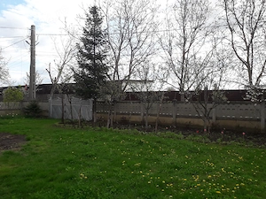Vând grădină în Tg.Frumos - imagine 3