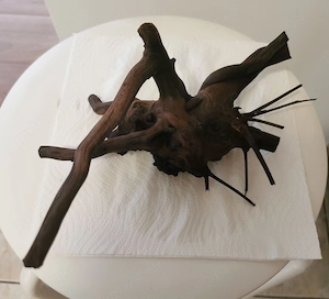 Radacina naturala pentru acvariu (red moor   spider wood)
