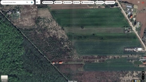 `Teren langa padure, Snagov - Strada Parcului - imagine 5