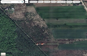 `Teren langa padure, Snagov - Strada Parcului - imagine 6