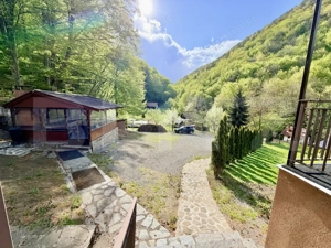 Cabana 5 camere, 140 mp utili, 3000 mp teren,balta de peste - imagine 4